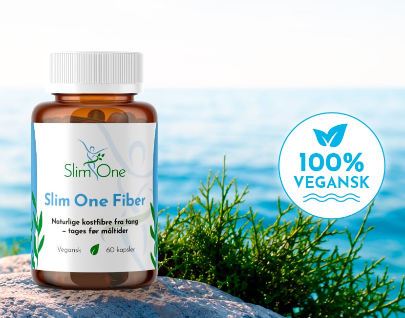 Slim One Fiber