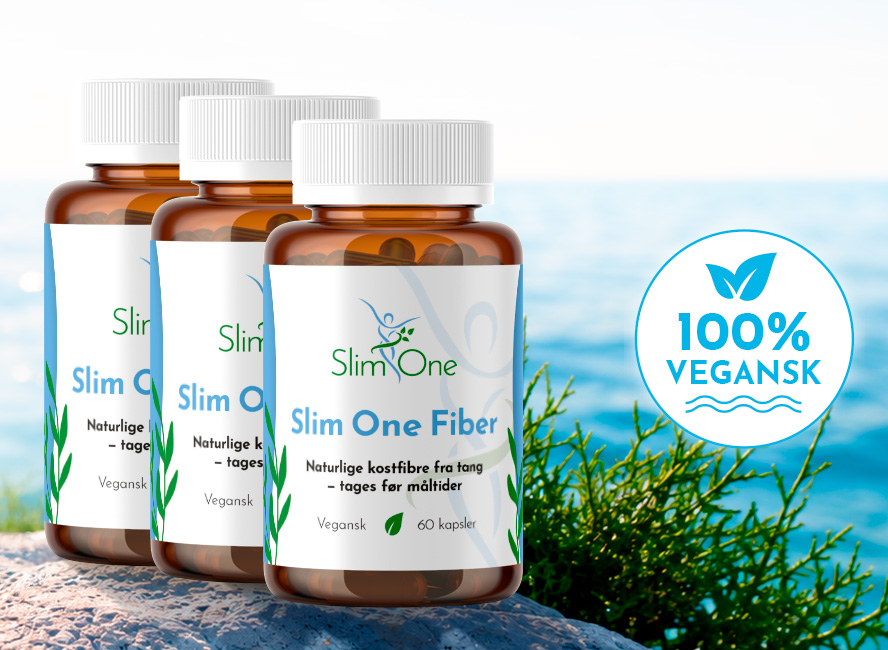 Slim One Fiber 3pak