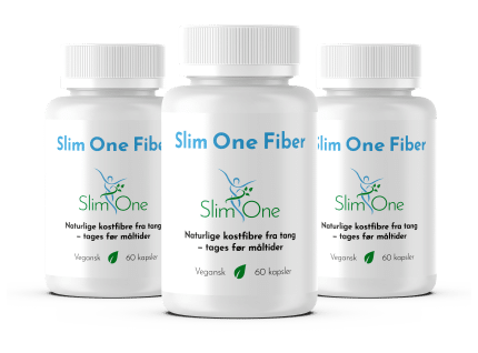 Slim One Fiber 3 pak